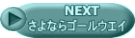 NEXT@_ũ^NV[ 