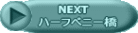NEXT@_ũ^NV[ 