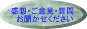 zEӌE @