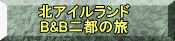 䊴z 